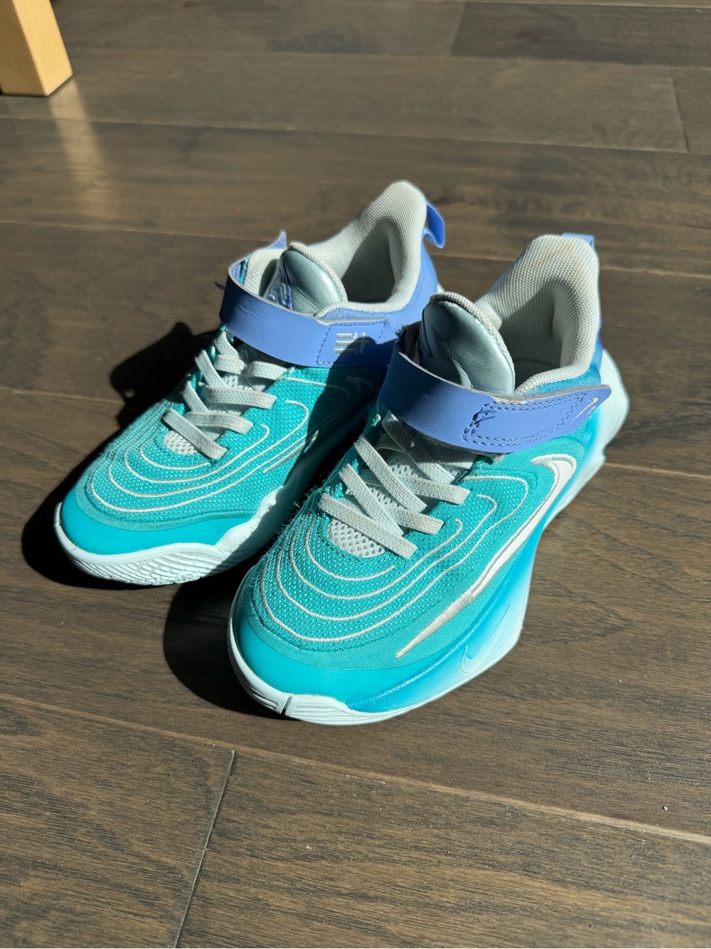 NIKE BOYS LITTLE KID GIANNIS IMMORTALITY IV BASKETBALL SHOE TURQUOISE